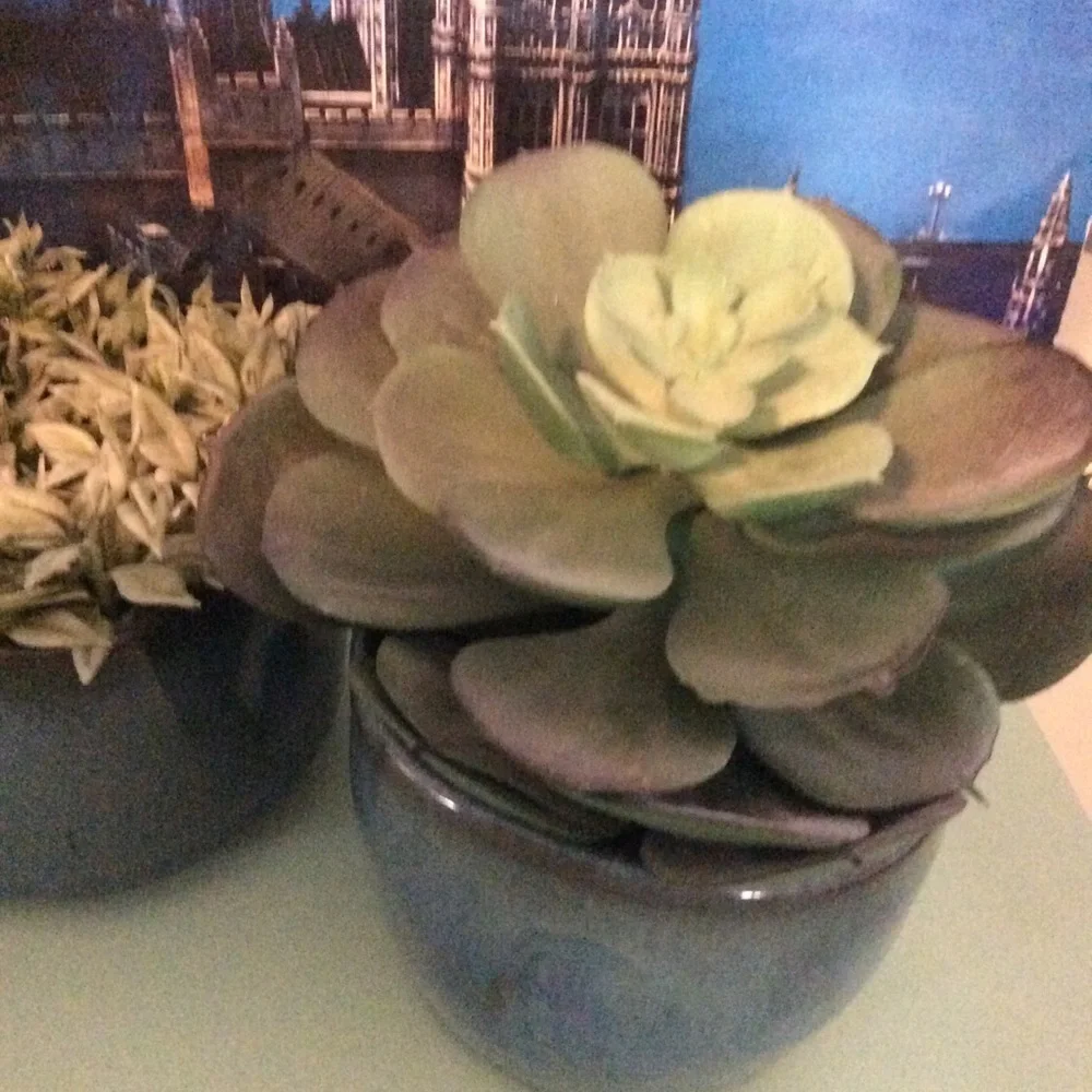 Hand Thrown Planters